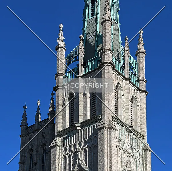 Photo 251-855-324