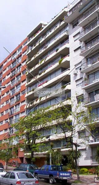 Photo 252-206-907