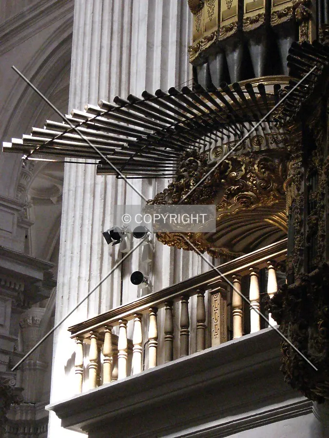 Organ pipes