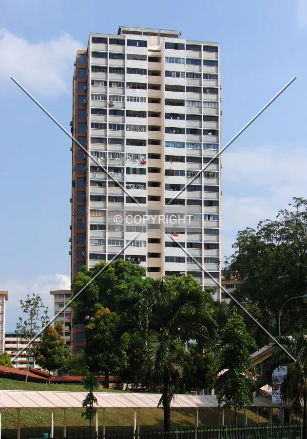 View from the northwest