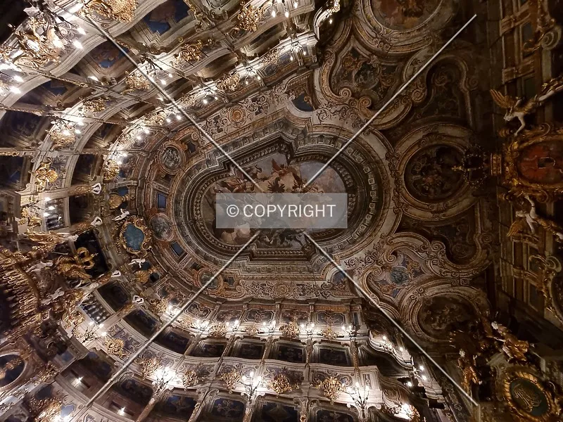 Photo 252-964-835