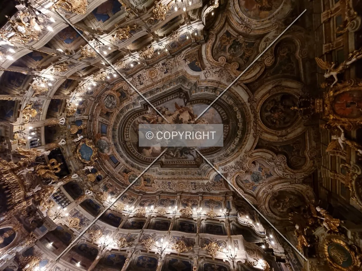 Photo 252-964-835
