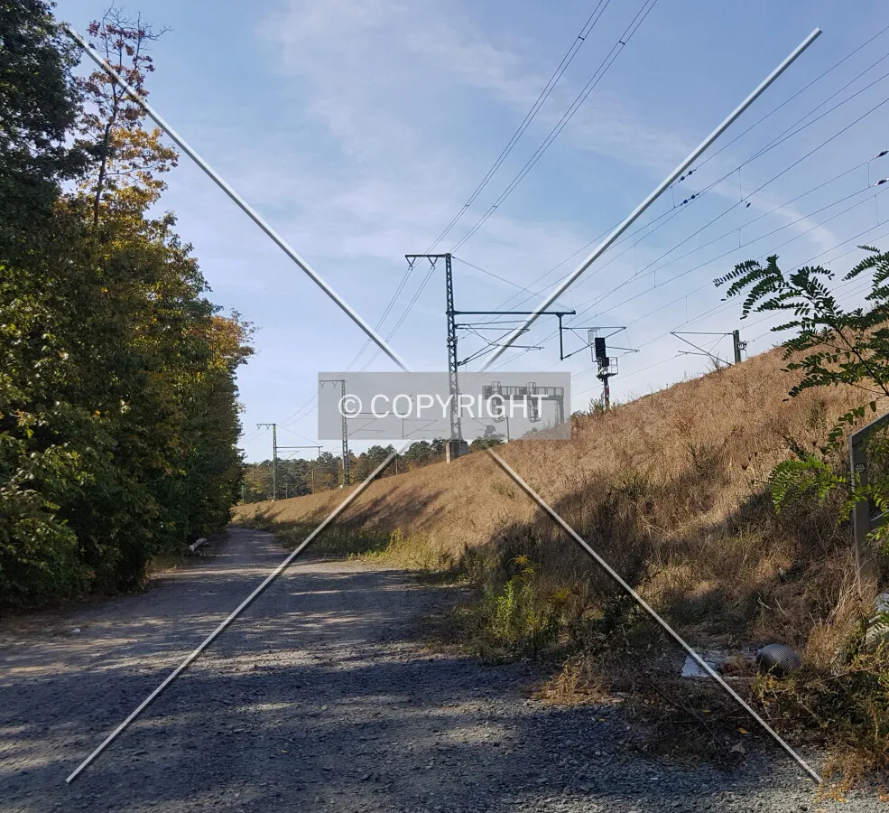 Photo 253-113-681