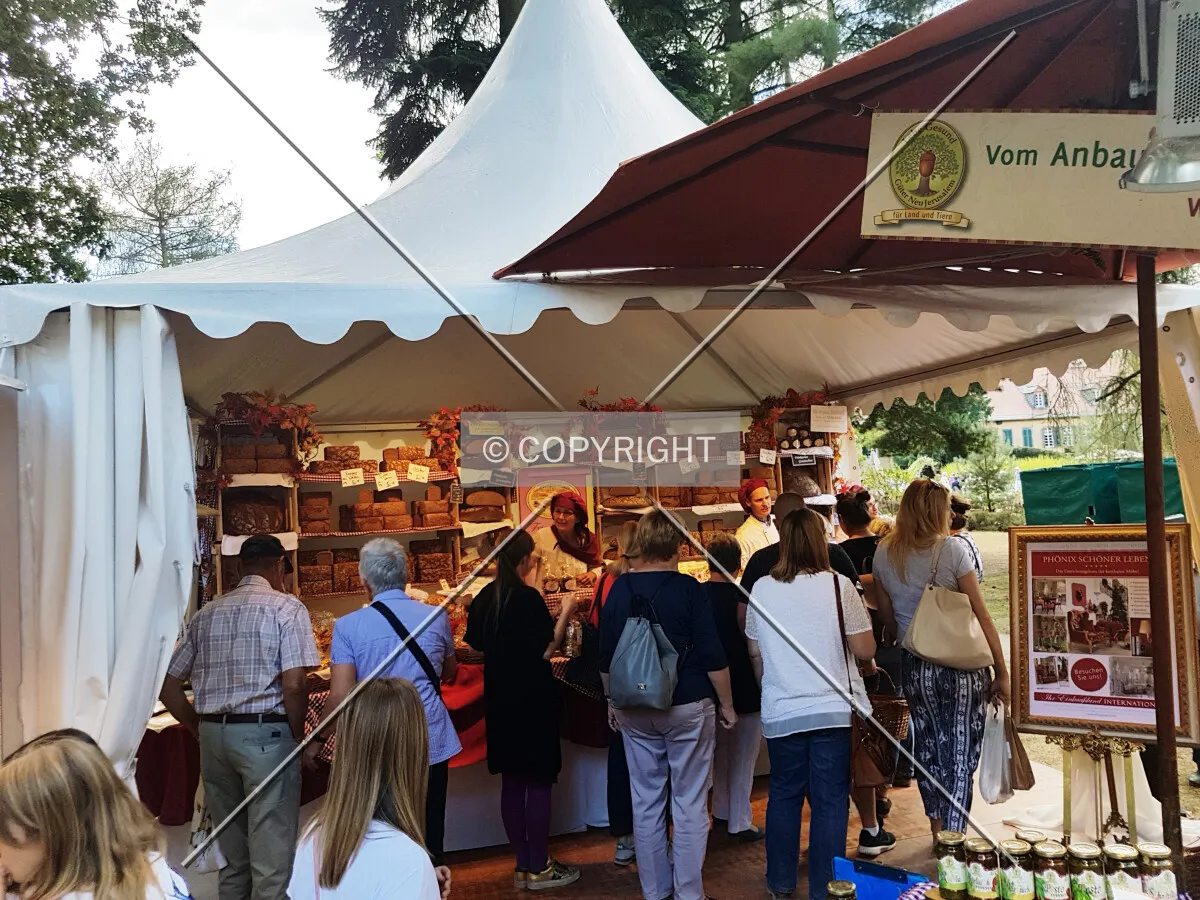 Schloß Wolfsgarten in 2018