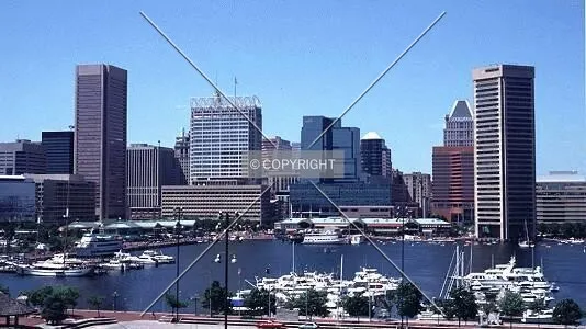 Inner Harbor Skyline
