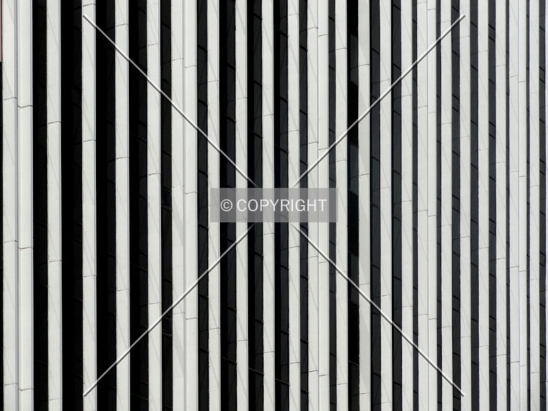 Photo 253-229-532