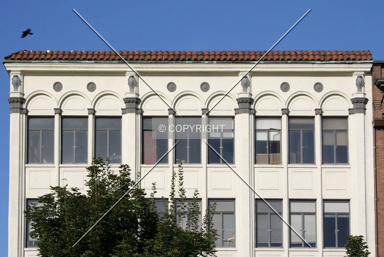 View of the top