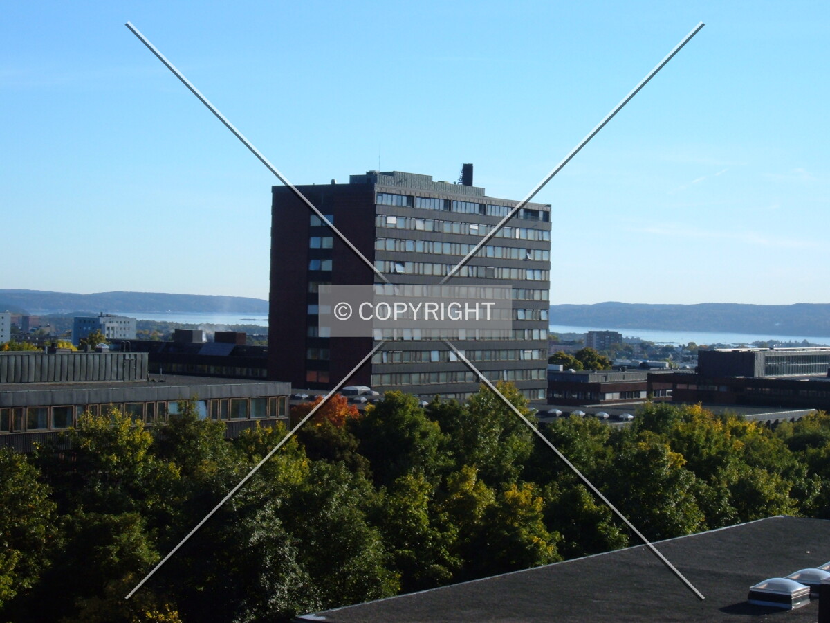View from Niels Treschows hus