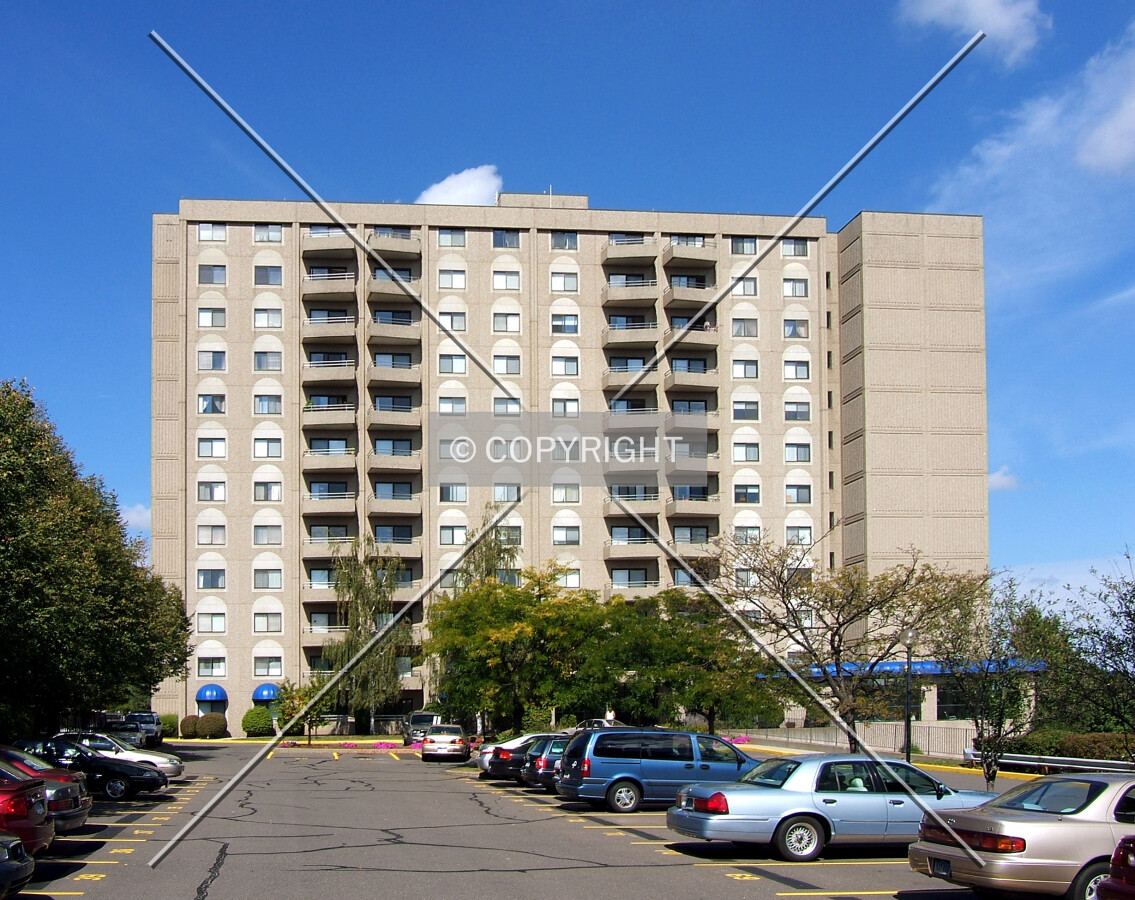 View from the southeast