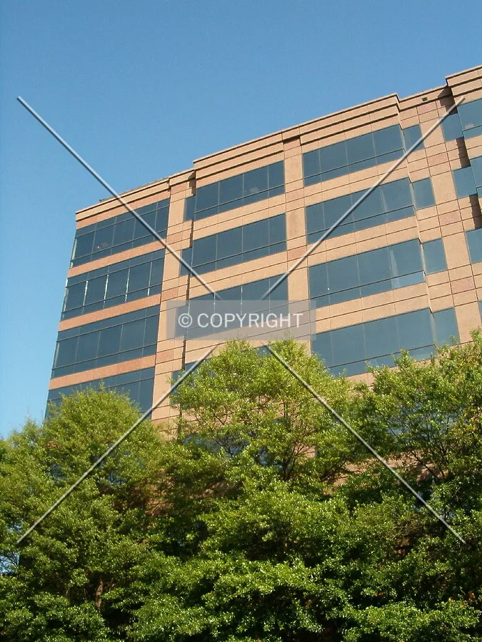 Looking up from Bibb Street