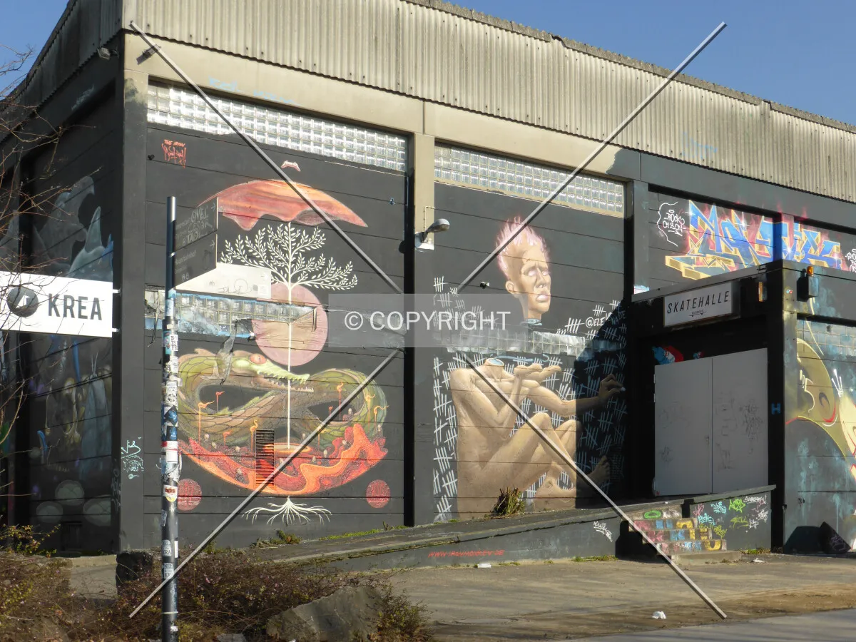 Photo 254-005-667