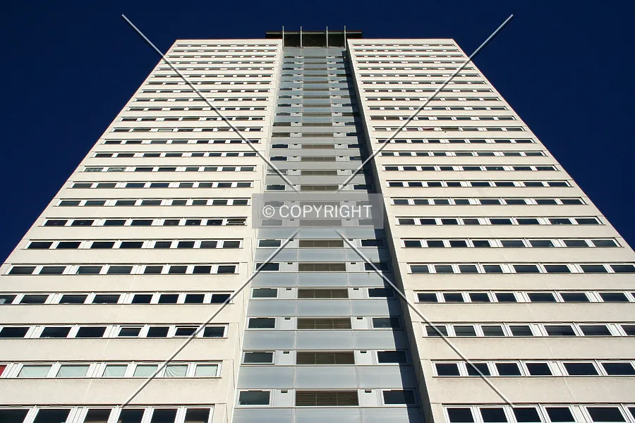 Photo 254-018-885
