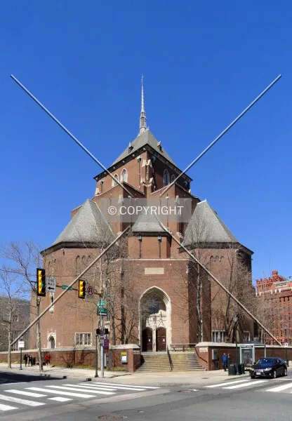Photo 254-251-868