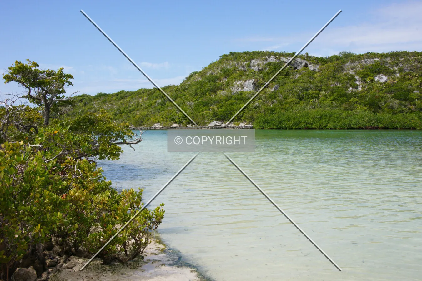 Photo 254-381-681