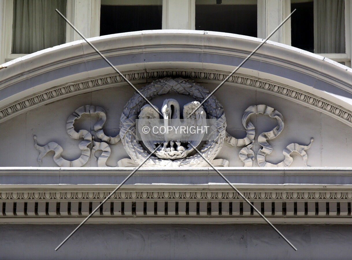 Pelican relief on the Camp Street facade