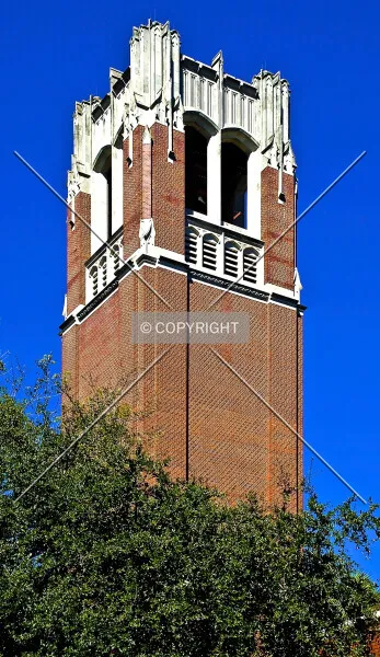 Photo 254-412-852