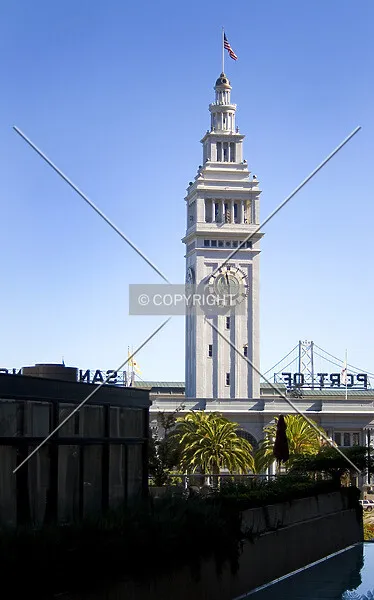 Photo 254-463-275