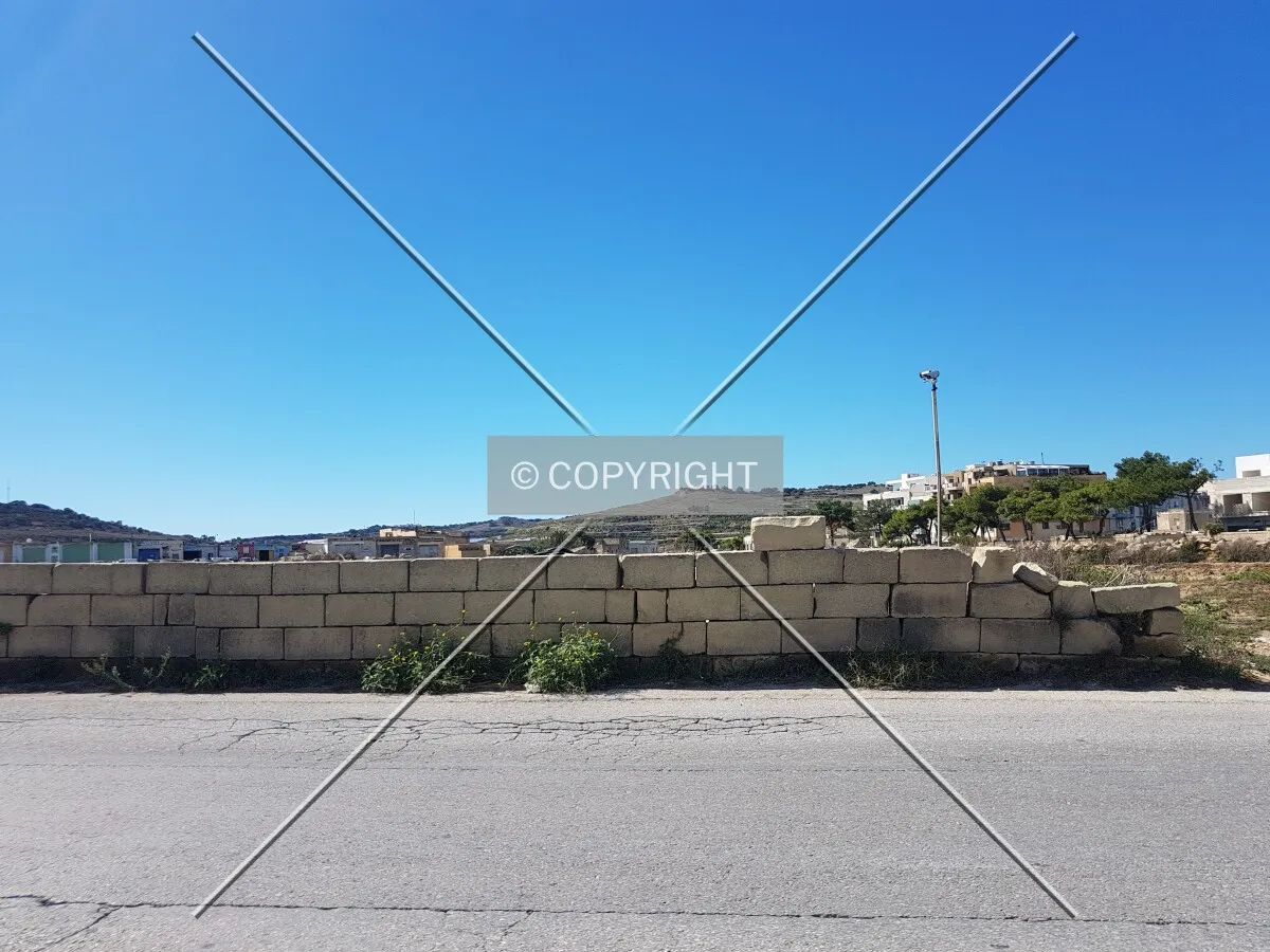 Photo 254-573-772