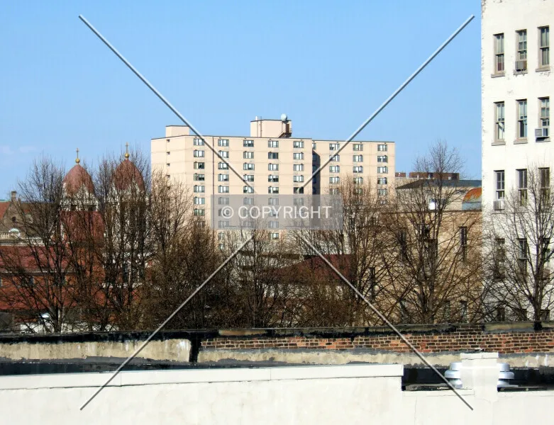 Photo 254-749-718