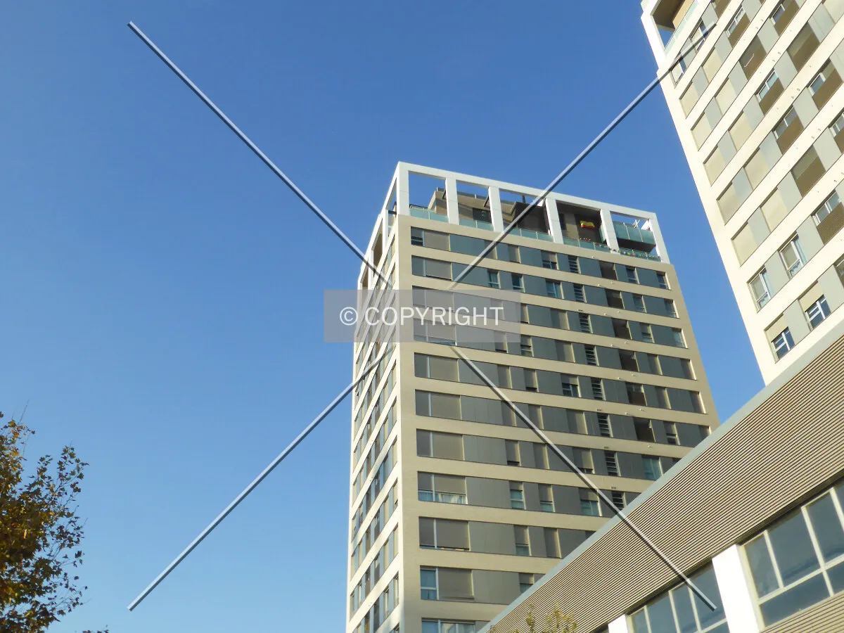 Photo 255-199-794