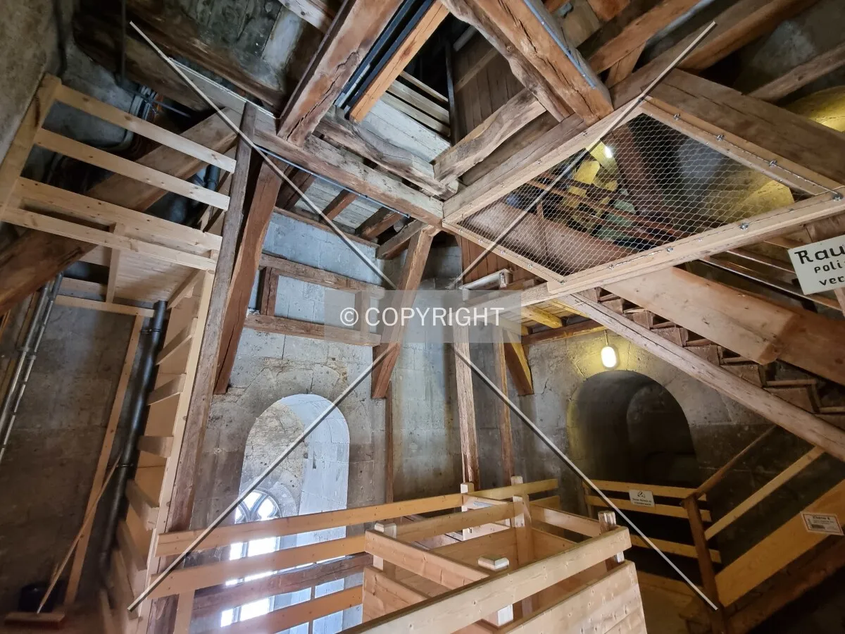 Photo 255-204-474