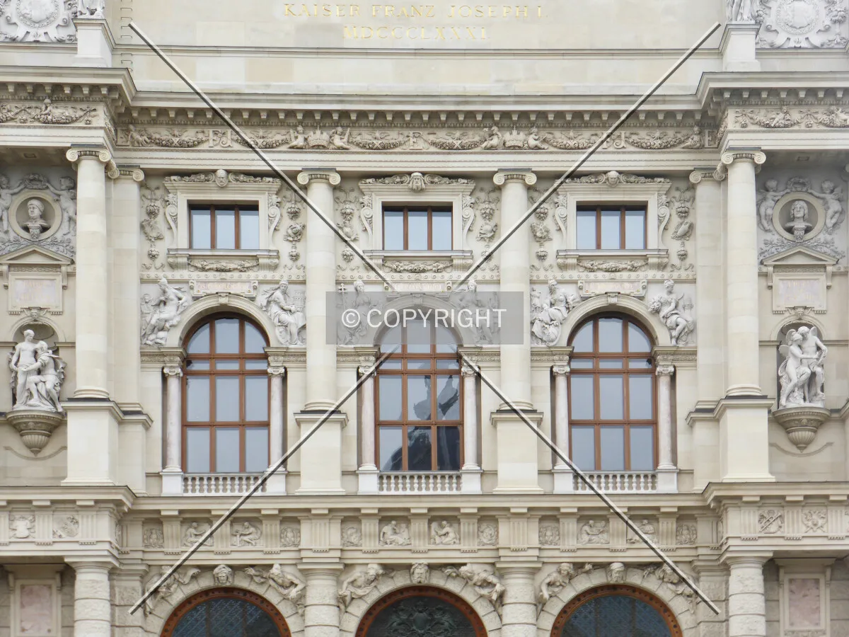 Photo 255-225-951