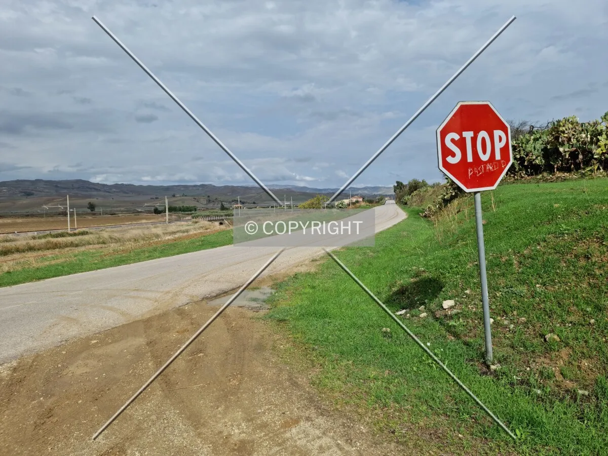 Photo 255-269-422