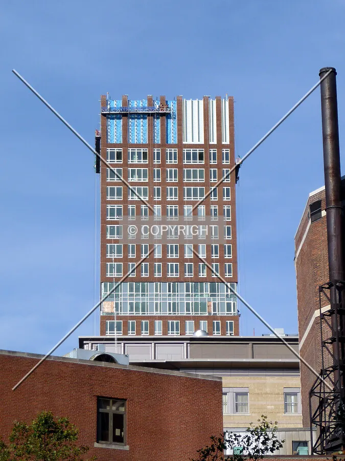 View from the east