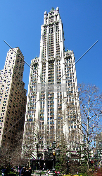 Photo 255-351-408
