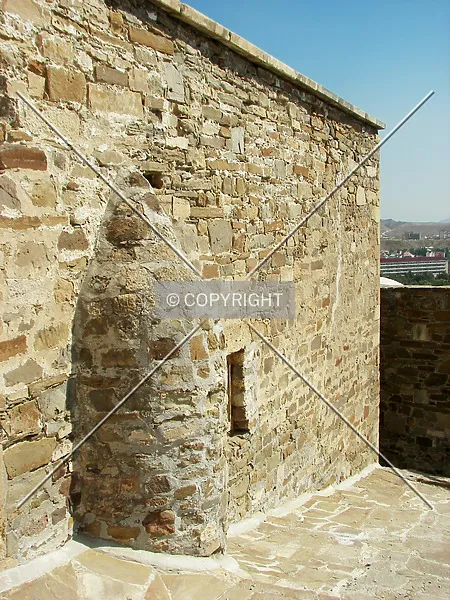 Photo 255-374-026
