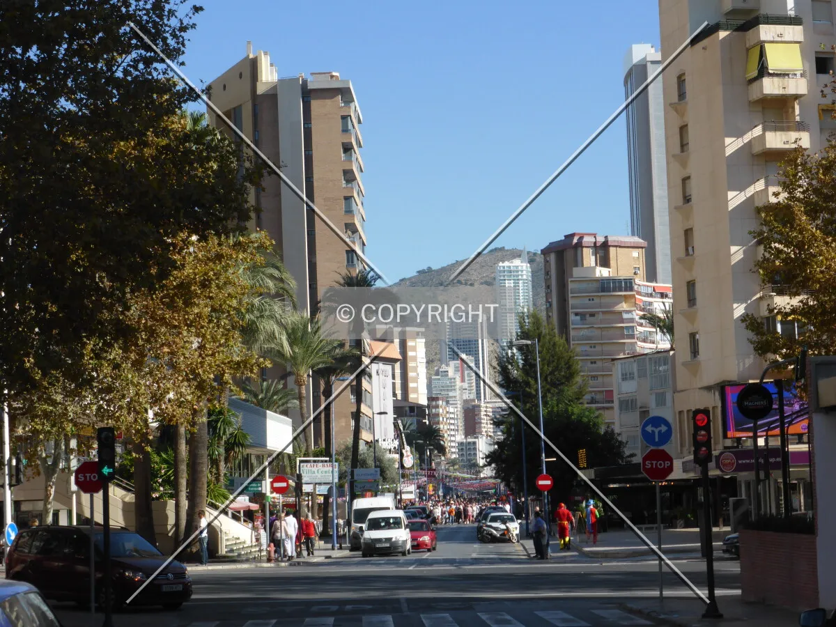 Photo 255-411-080