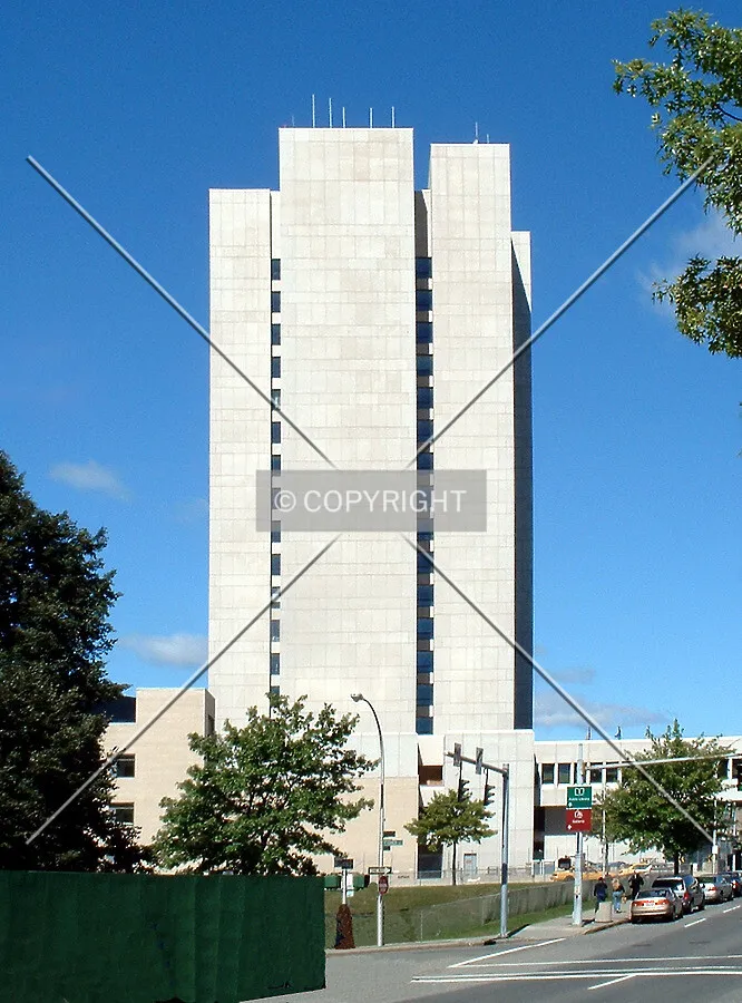 View from the south