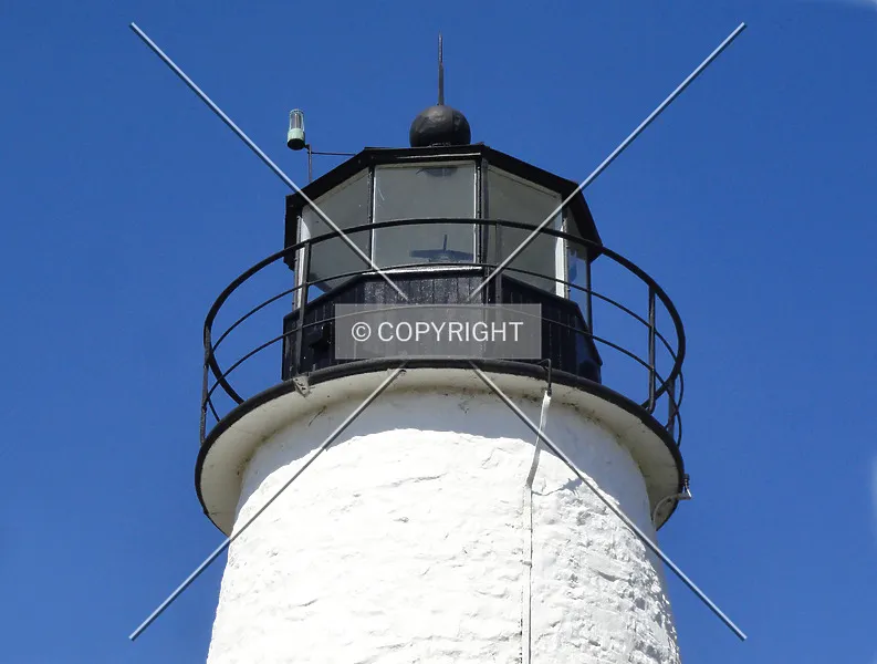 Photo 255-709-804