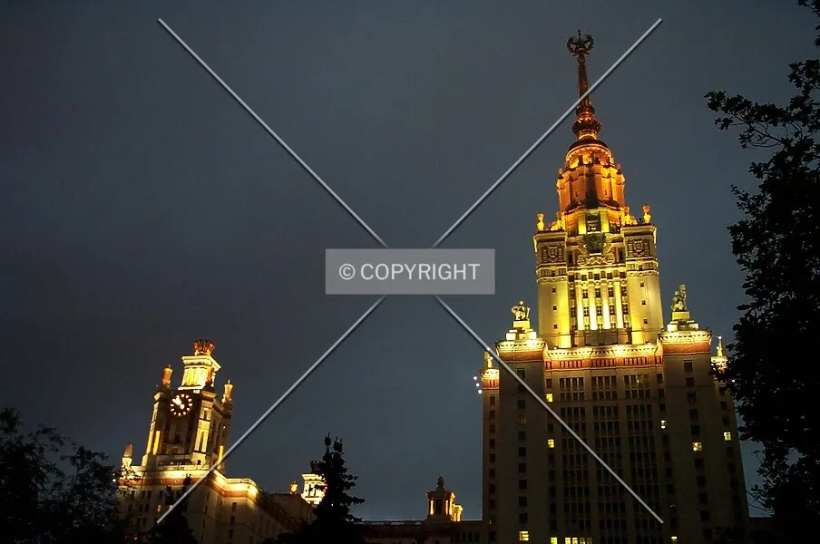 Photo 256-011-802