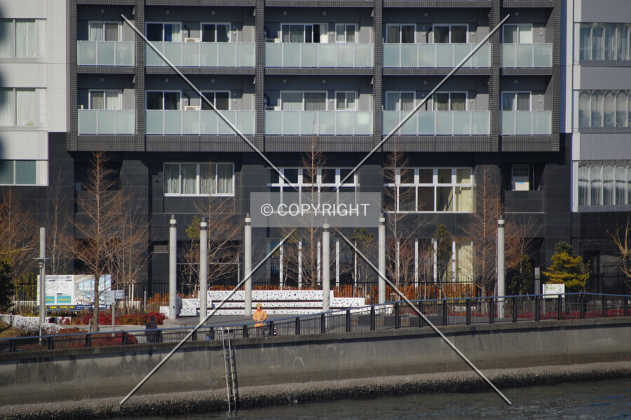 Photo 256-188-727