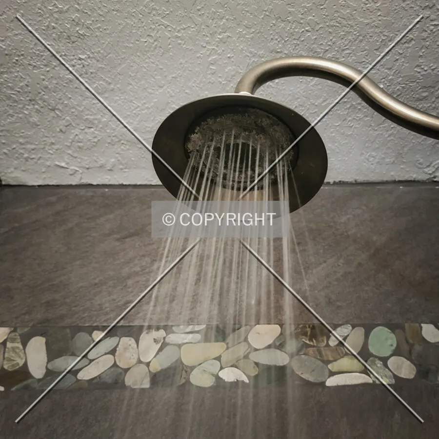 Guest room shower; June 8, 2022