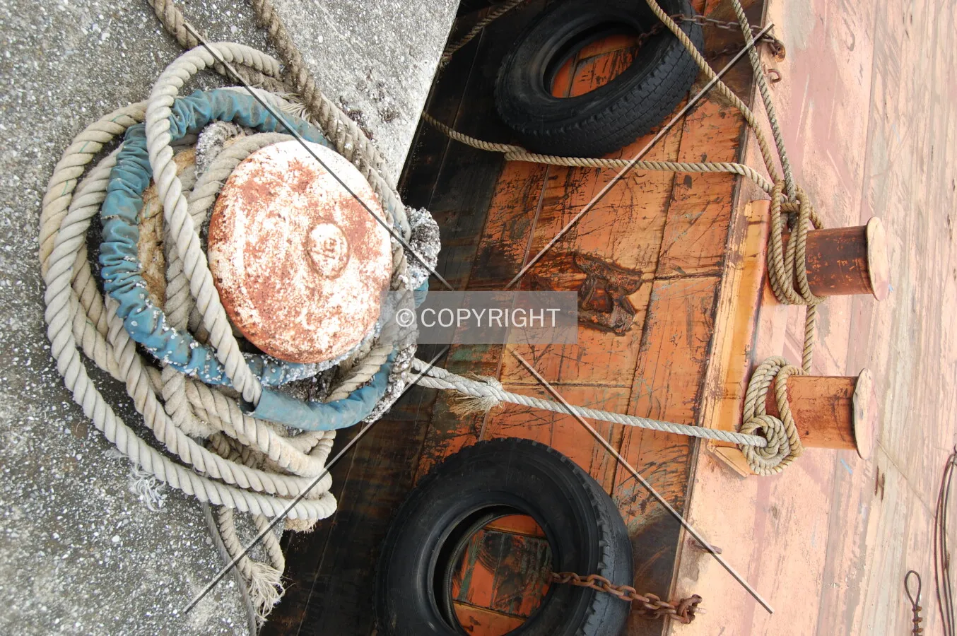 Photo 256-395-007