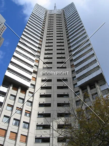Photo 256-549-936
