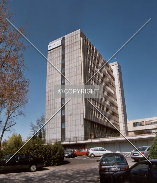 Side view (back side)