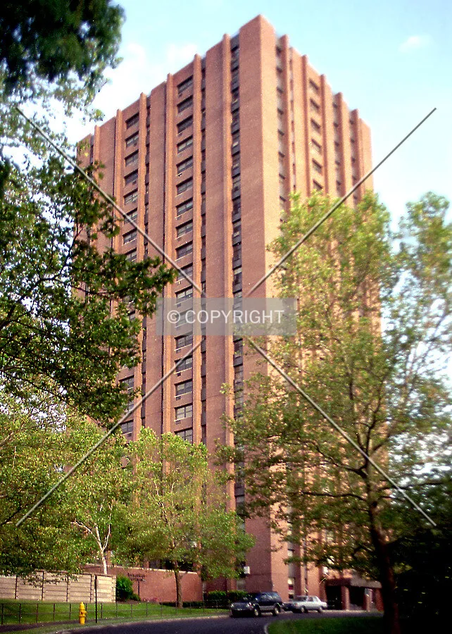 View from the northwest