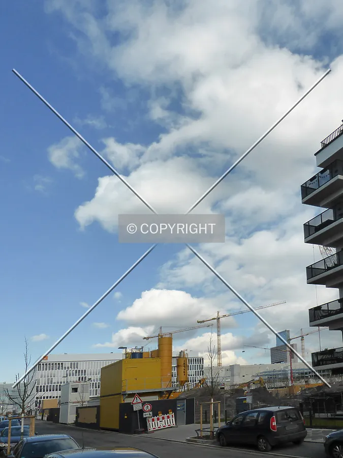 Photo 257-409-239