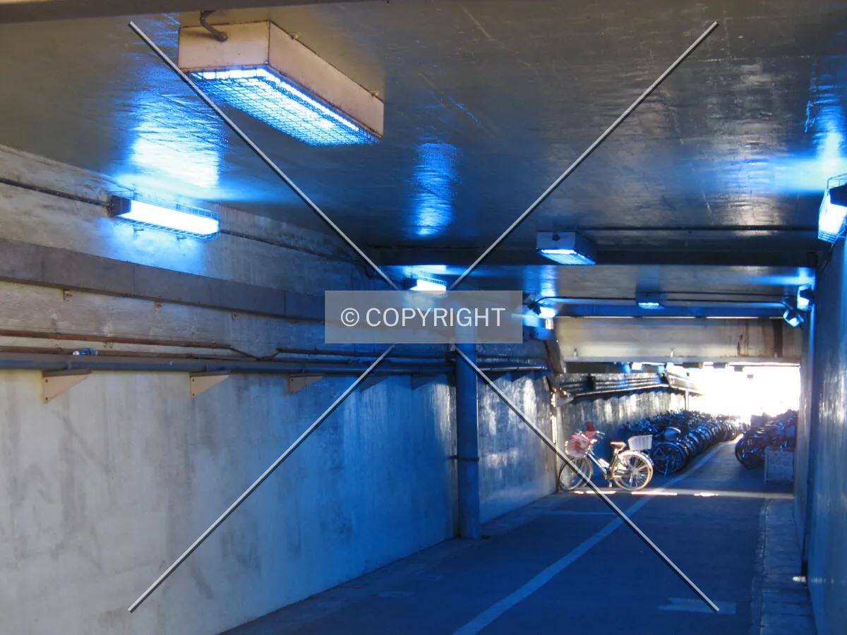 Photo 257-634-164