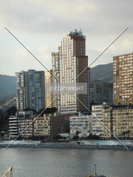 Photo 258-252-449