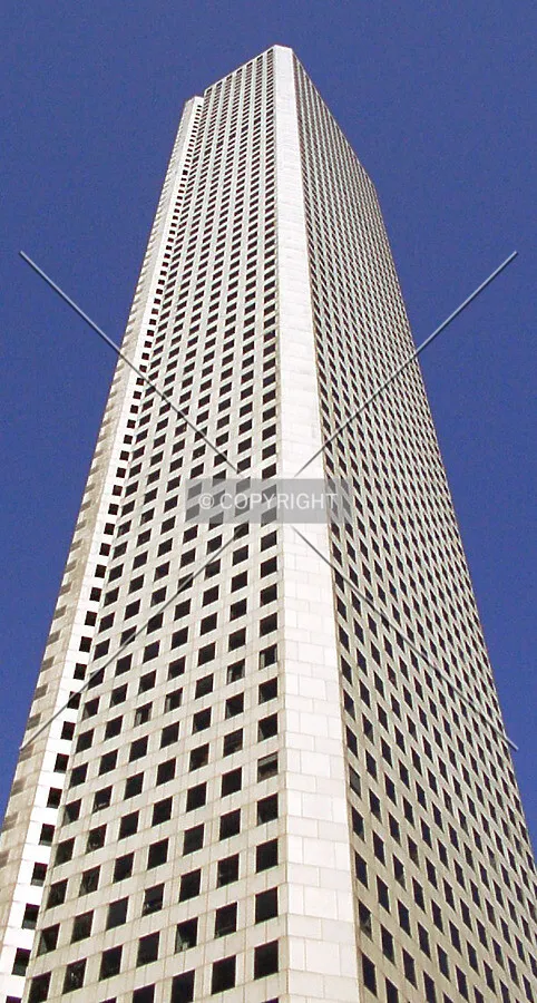 Looking up the south corner
