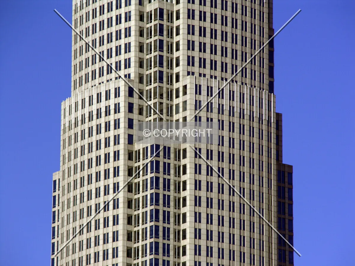 Central portion