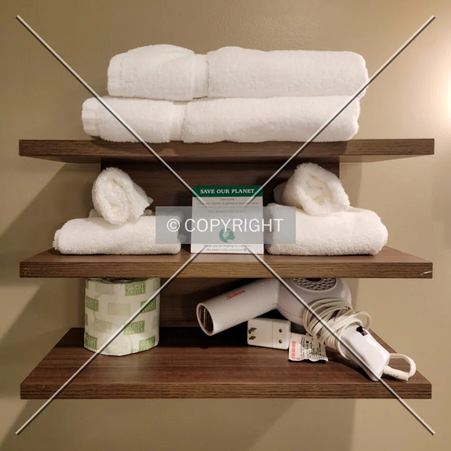 Shelves in a guest bathroom; June 11, 2021