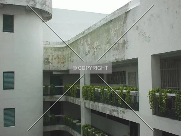 View of the apartments
