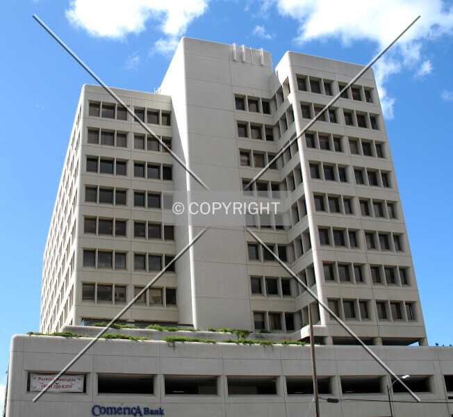 Photo 259-000-493