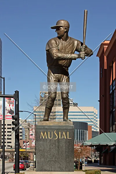 Photo 259-161-265