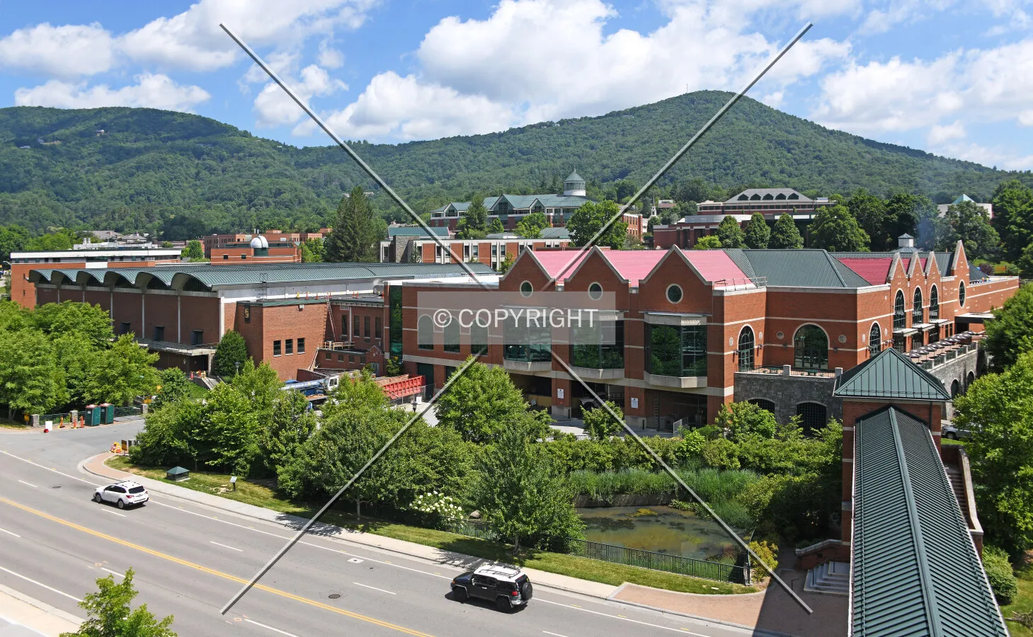 Photo 259-195-986